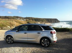 C4Picasso 2