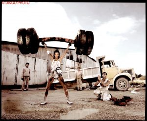 dingo-camion basse def_new