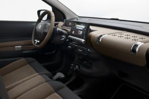 C4 Cactus 