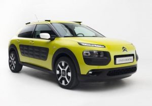 C4 cactus 2014
