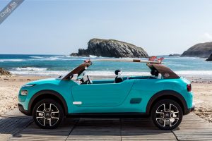 Concept Cactus M