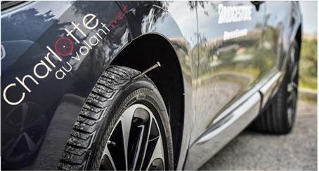 Bridgestone Driveguard